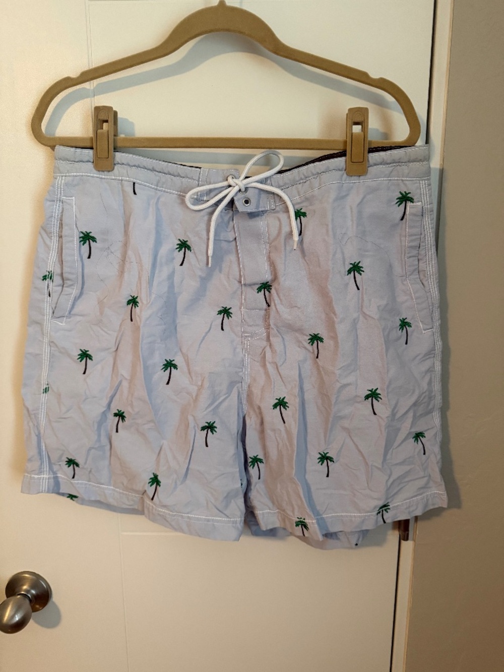 MENs Daniel Cremieux Swim Shorts (Size L)